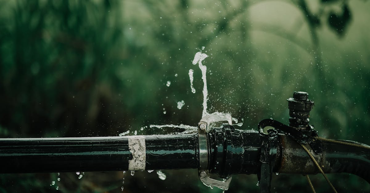 Plumber detecting and repairing water leak