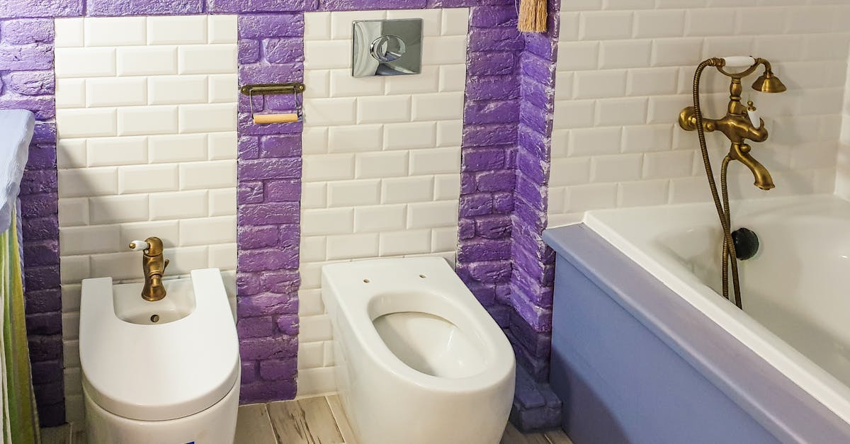 Toilet repair service by licensed plumber