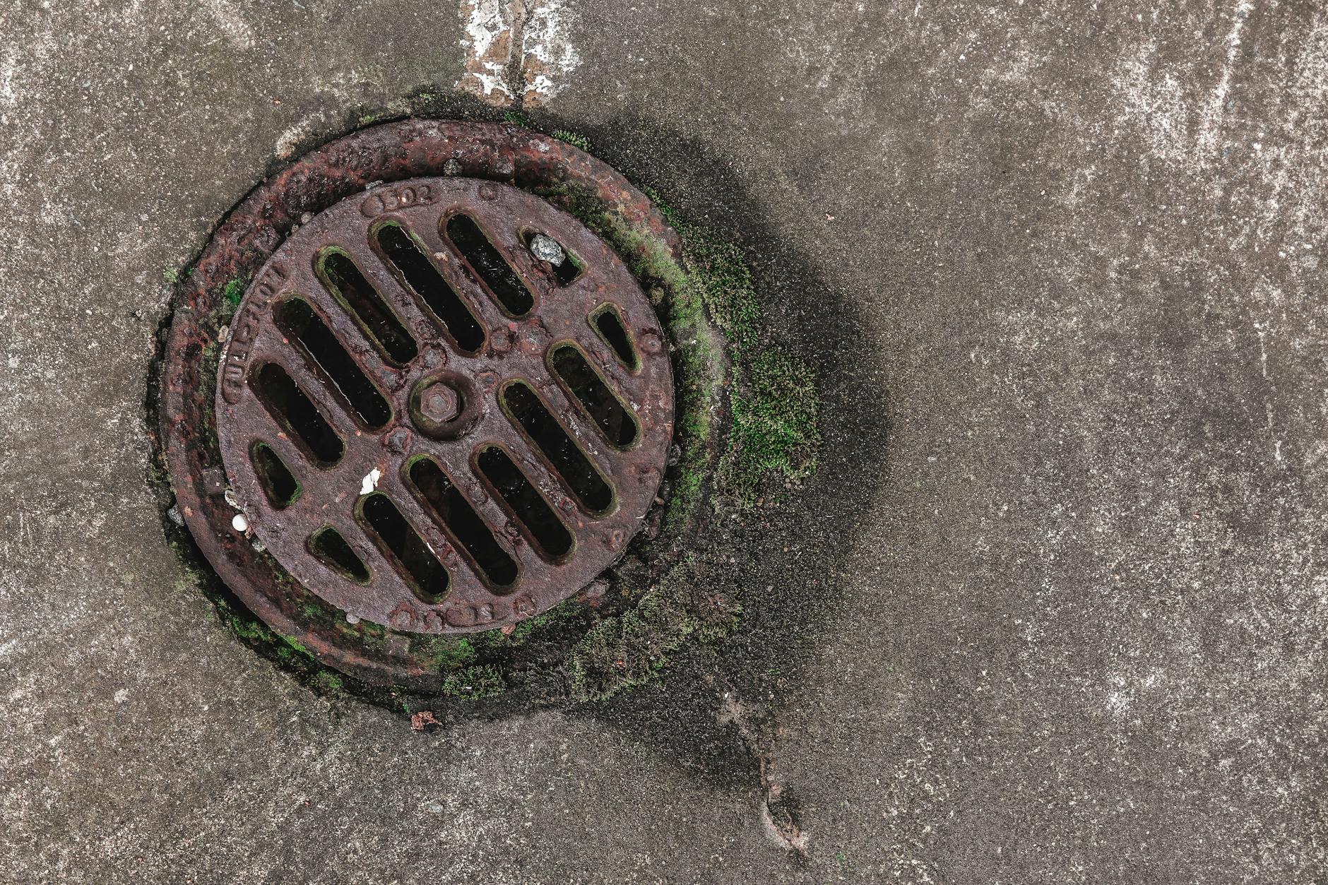 Sewer backup emergency