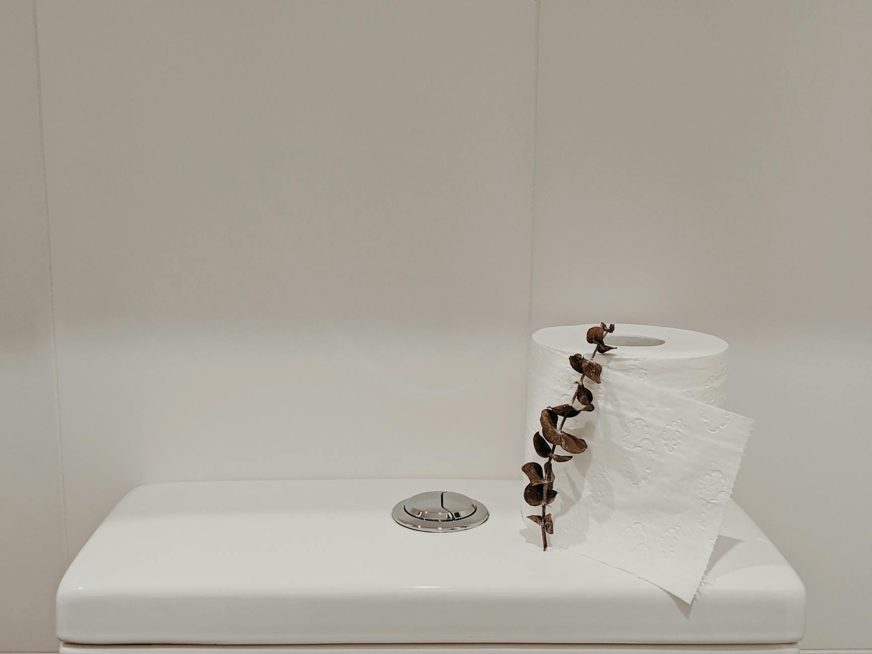 Toilet repair service